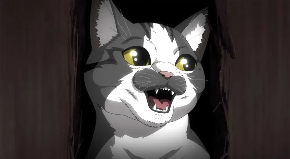 Cat Anime